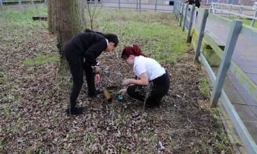 Students Explore Biodiversity searching for insects within the school grounds. 